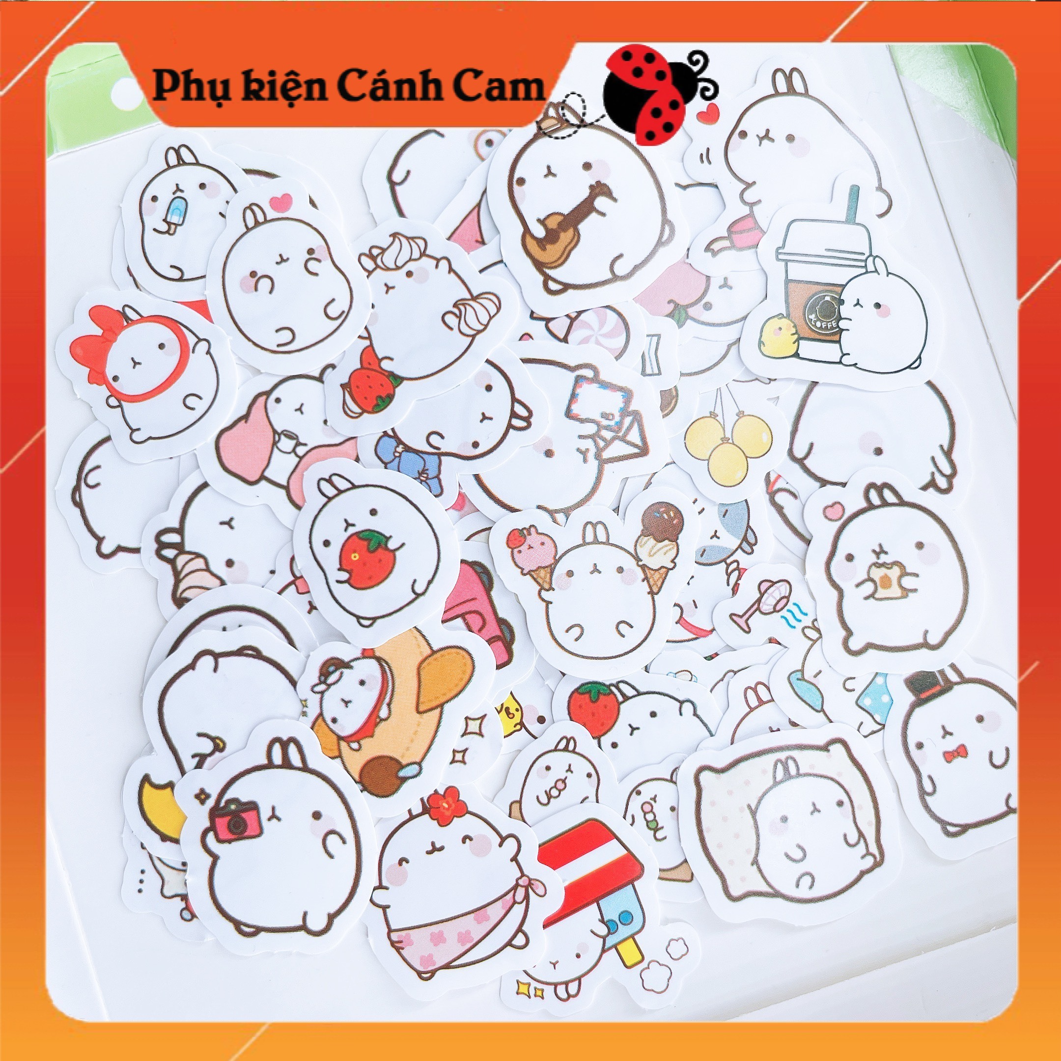Set 60 Sticker Hình Dán Molang Trang Trí Siêu Dễ Thương - Phụ Kiện Cánh Cam