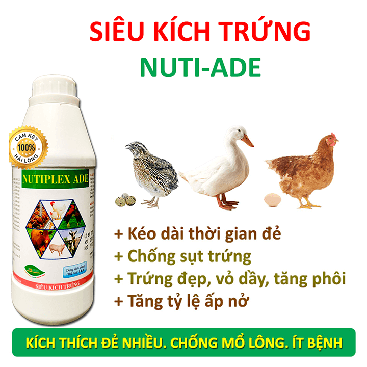 Chế phẩm NUTI-ADE. Siêu kích trứng dùng cho gà đẻ, vịt đẻ, cút đẻ