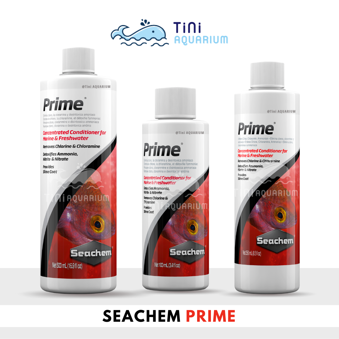 Khử độc nước cấp tốc Seachem Prime khử clo khử kim loại nặng cho hồ cá tép cao cấp của Mỹ - Hàng chính hãng
