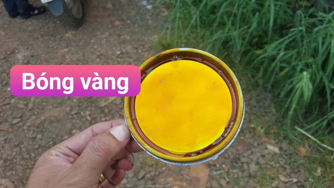 Sơn Bóng cánh gián, Sơn bóng vàng - Sơn gô, giả gỗ 1K Yes Paint - Mau khô- Bóng - Bám -Bền Tặng kèm cọ