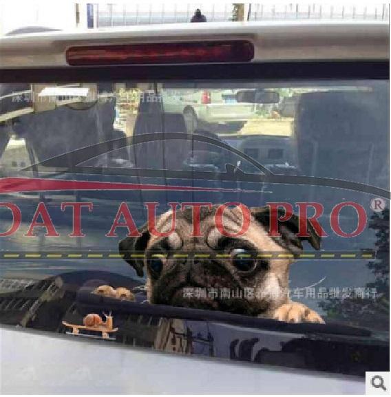 Tem Dán xe oto chó pug siêu dễ thương.
