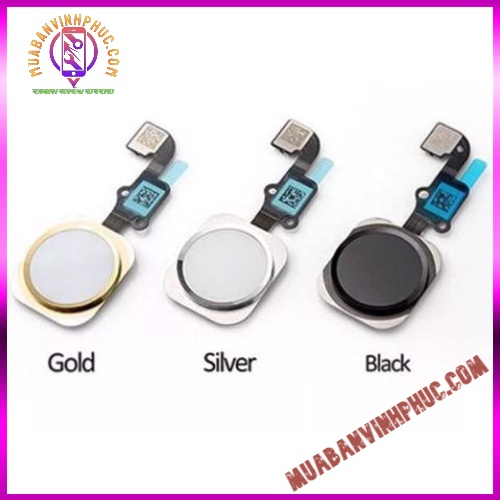 Phím home, nút home 6g / 6 plus / 6s / 6s plus / 7g / 8g / 7 plus / 8 plus zin - mbvp.com