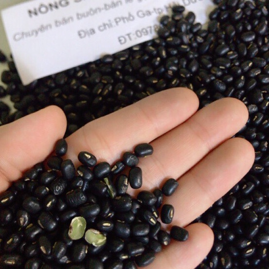 Đỗ đen xanh lòng❤️freeship❤️đậu đen quê bở-sạch-thơm 1kg