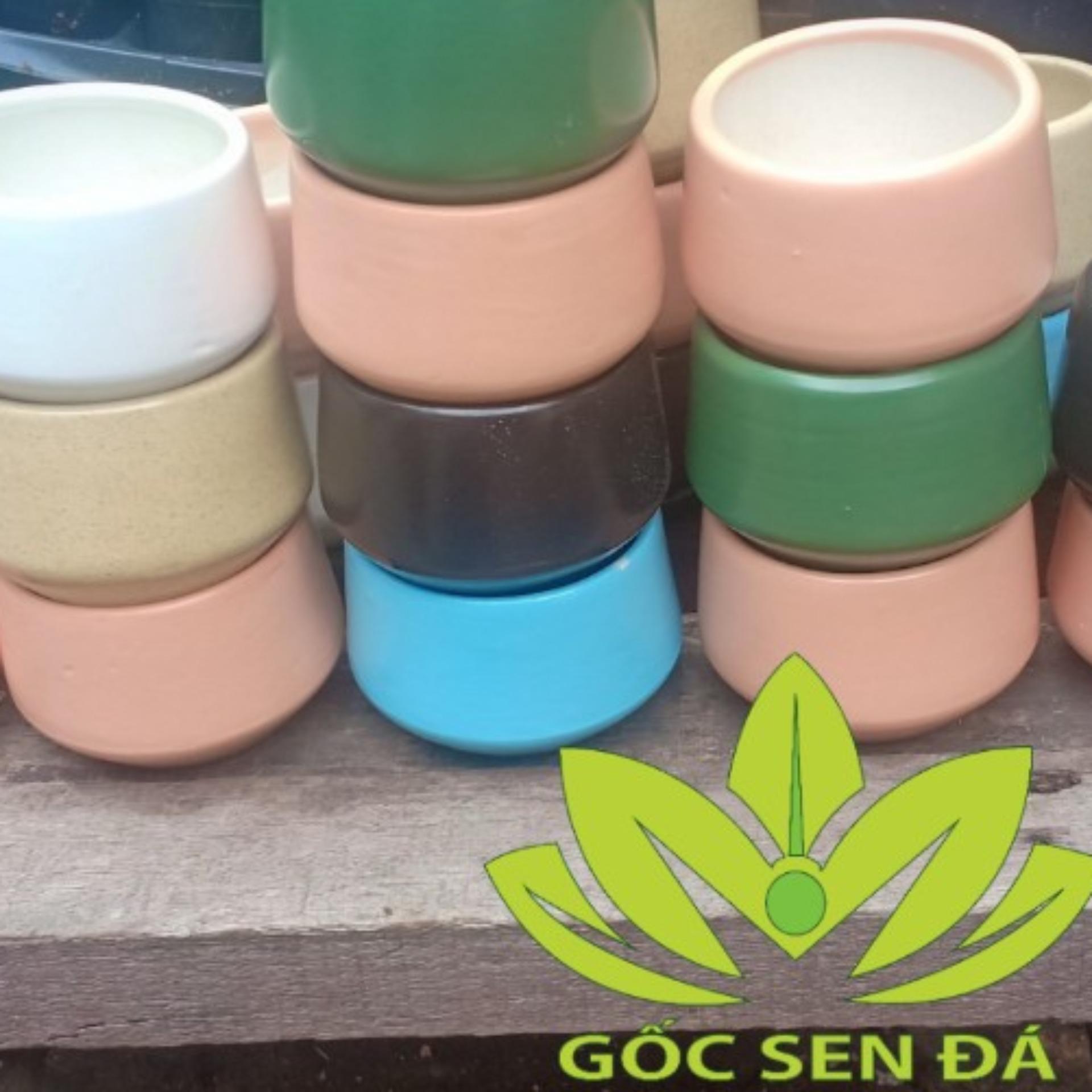 Chậu gốm r 8 cm