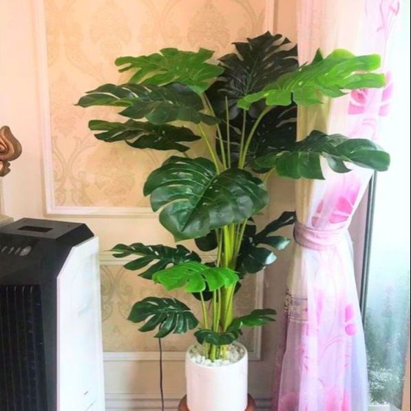 Cây lá xẻ , cây lá rùa 130cm 3 nhánh