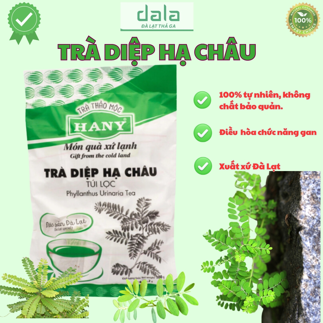 Đà lạt gốc + tặng quà 20k - trà diệp hạ châu - thương hiệu hany - 100% nguyên chất - gói 50 túi lọc