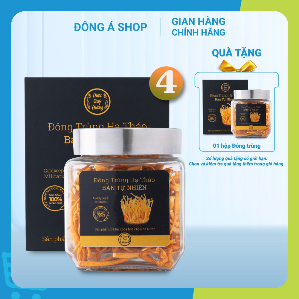 Đông trùng hạ thảo sấy khô Dược Quý Đường - Combo 04 hộp 20g - Đông trùng hạ thảo bán tự nhiên, hỗ trợ bồi bổ cơ thể, bổ phế, ích can thận