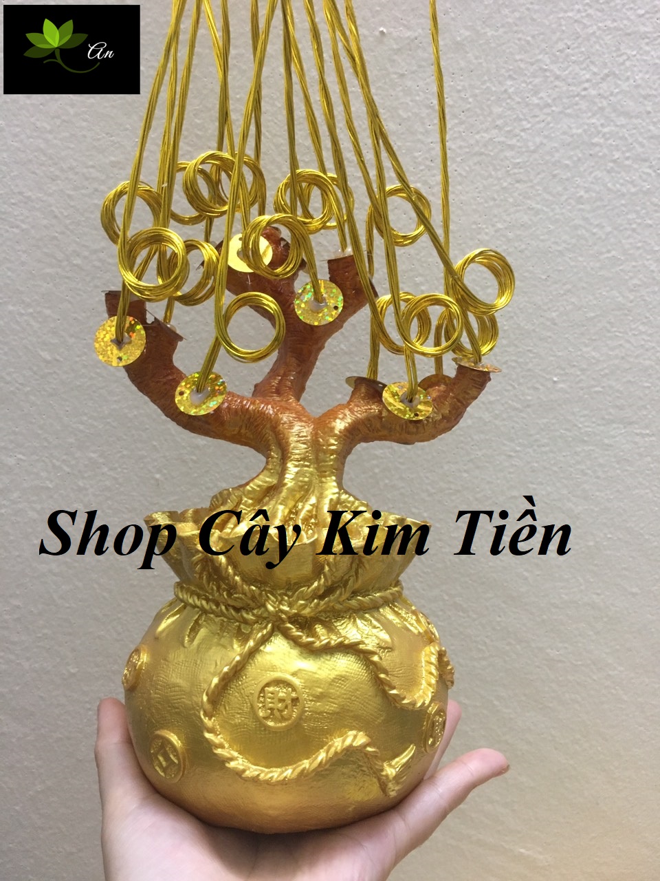 Gốc Túi 15 nhánh  làm cây Kim tiền có gắn sẵn xu và kẽm