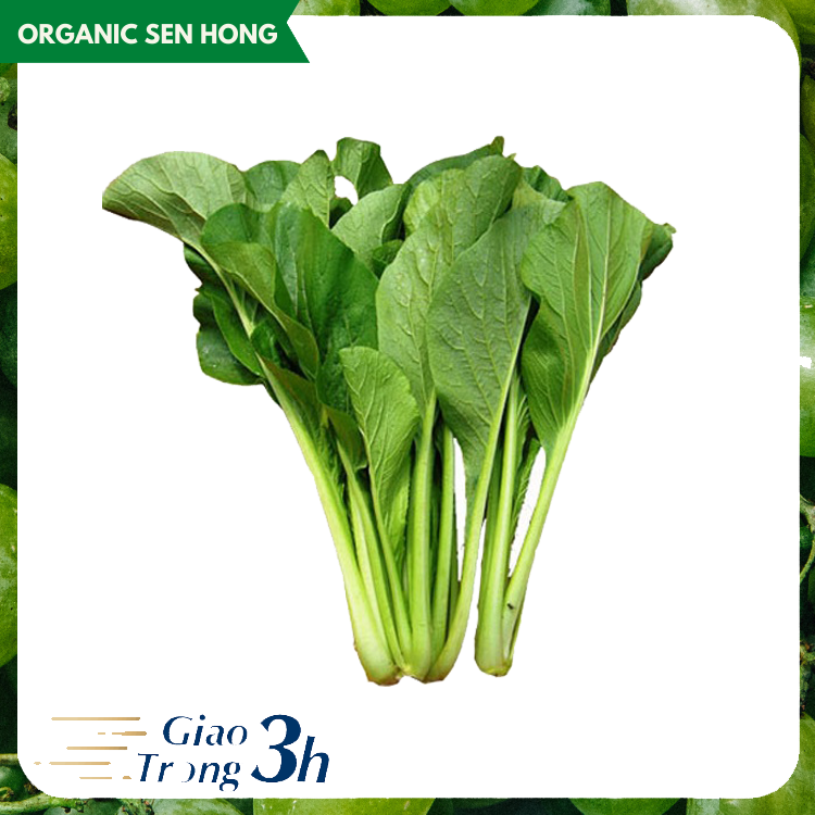 Cải ngọt Sen Hồng