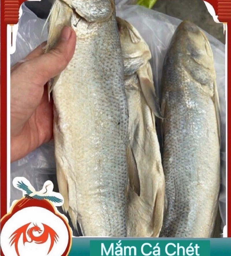 Mắm cá chét hương - khô cá chét muối dùi - tú vy food - dùng nấu lẩu, làm món chưng 1kg/ 500gram