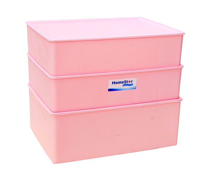 [HCM]Bộ 3 Khay Nhựa PP Cao Cấp Đựng Đồ Quần Áo Đồ Lót Đa Năng HomeStar (Hồng) STM48