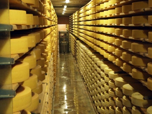 PHÔ MAI LE GRUYERE FRIBOURG THỤY SỸ