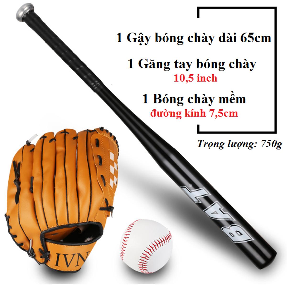 Bộ Gậy Bóng Chày Mini Nhãn Hiệu Amalife - màu gậy ngẫu nhiên (đỏ, bạc, đen, xanh)