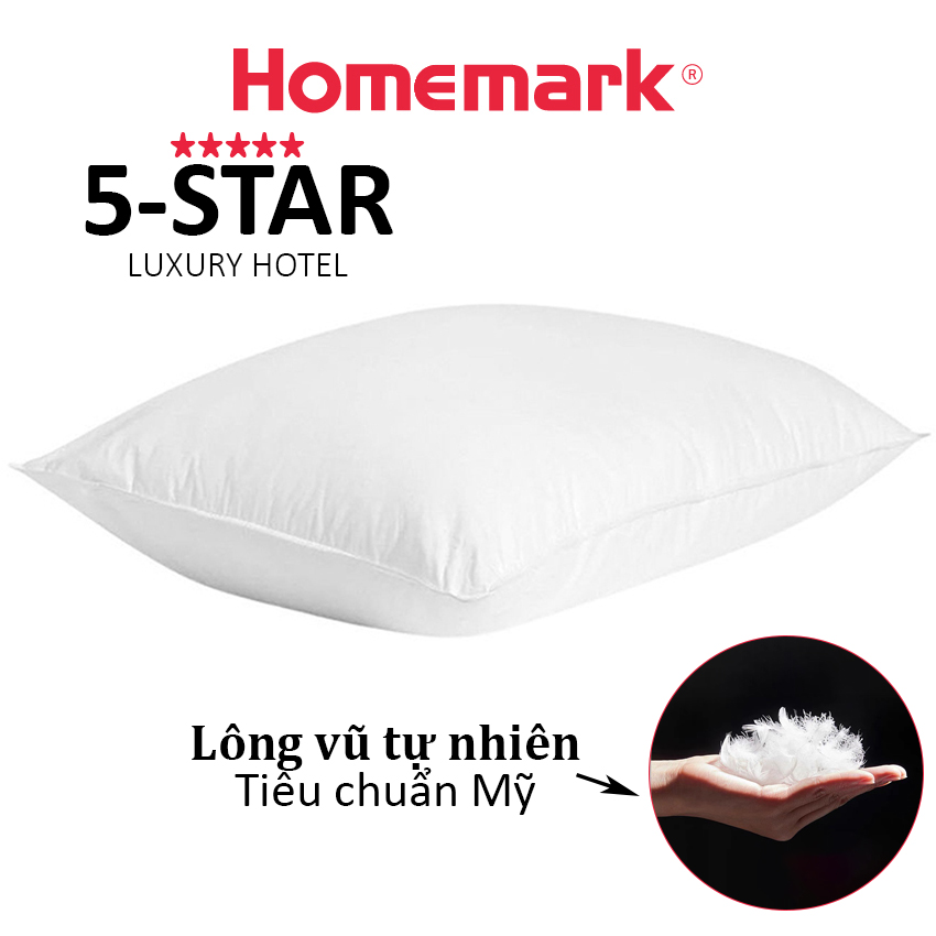 Ruột gối lông vũ tự nhiên Hanvico by Homemark kháng khuẩn cao cấp kích thước 50x70 và 60x80 cm