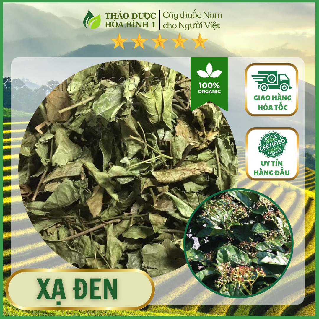Siêu rẻ xạ đen hoà bình 1kg xanh thơm sạch.