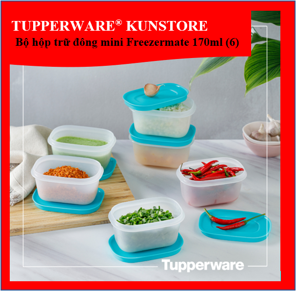 Bộ hộp trữ đông tupperware chính hãng mini freezermate 170ml