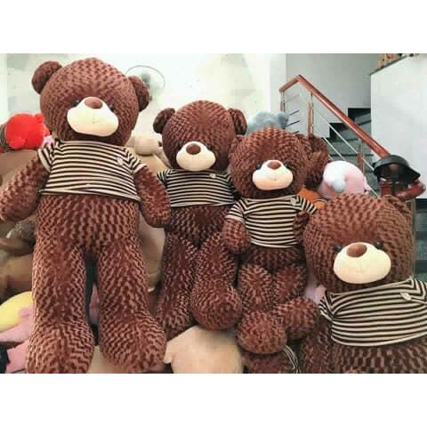 Gấu Bông Teddy Cao Cấp Áo Thun Khổ Vải 2m Cao 1m8 Hàng VNXK