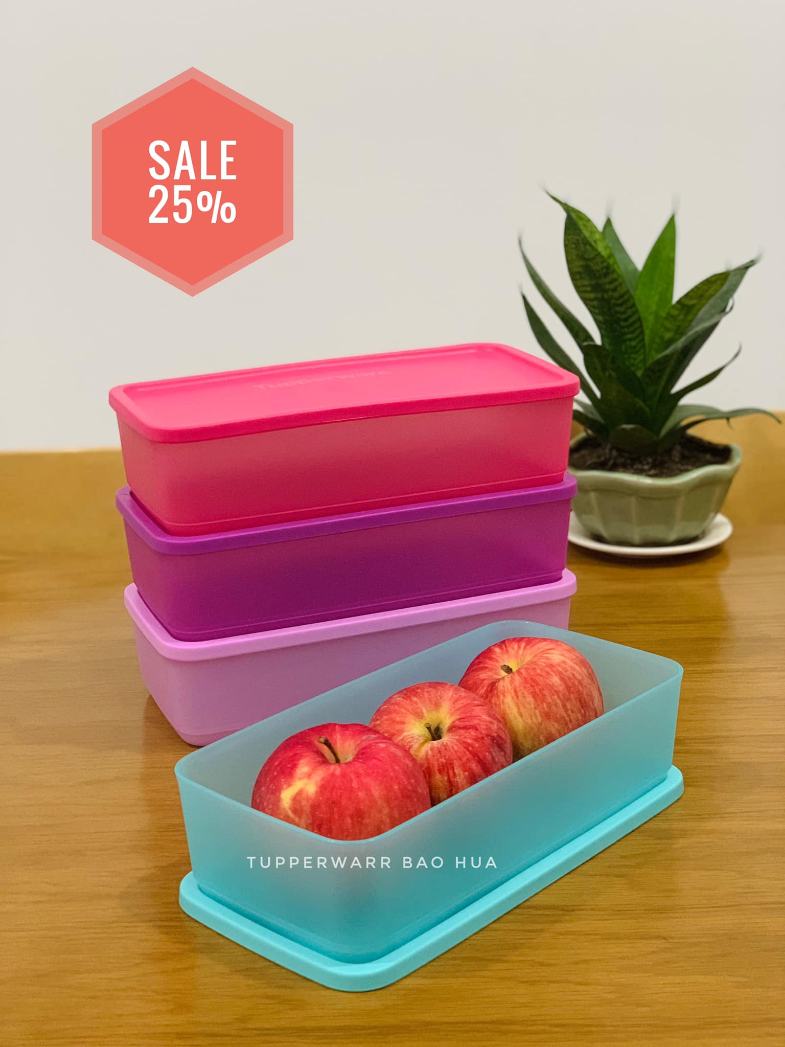 Tupperware - Bộ hộp Bảo quản thực phẩm Pak N Stor 4 hộp 1.4L