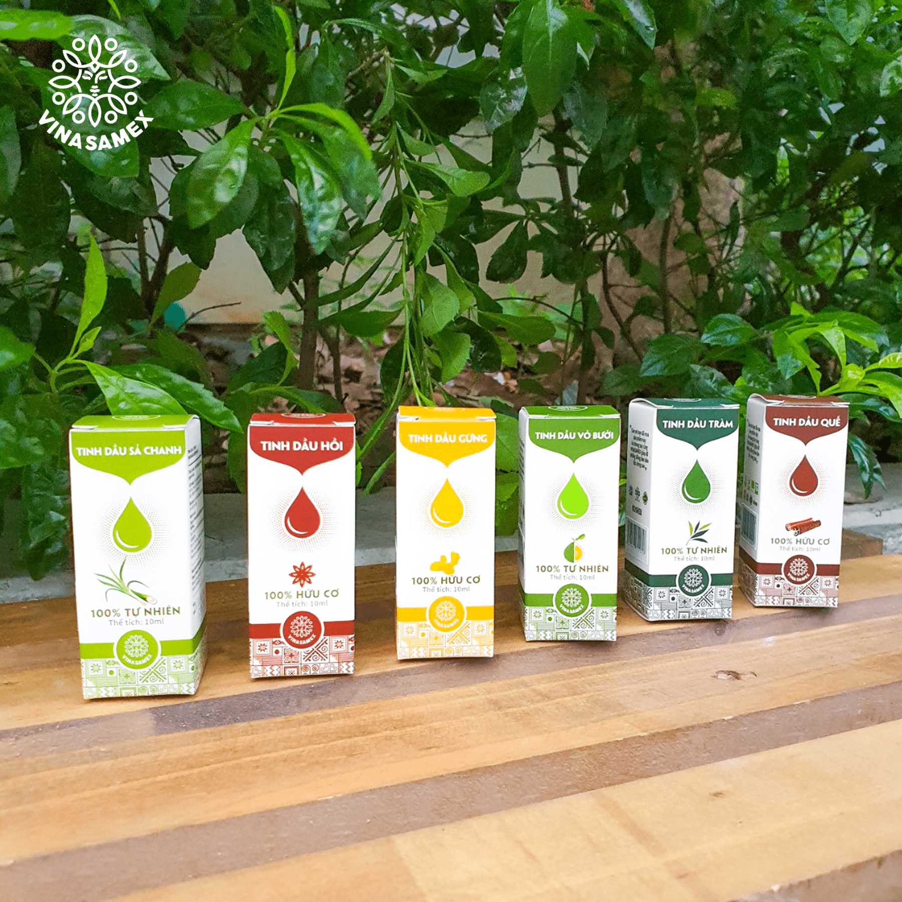 Tinh dầu tràm/ quế/ hồi/ gừng/ sả chanh/ vỏ bưởi hữu cơ vinasamex 10ml - leafhouse hcm