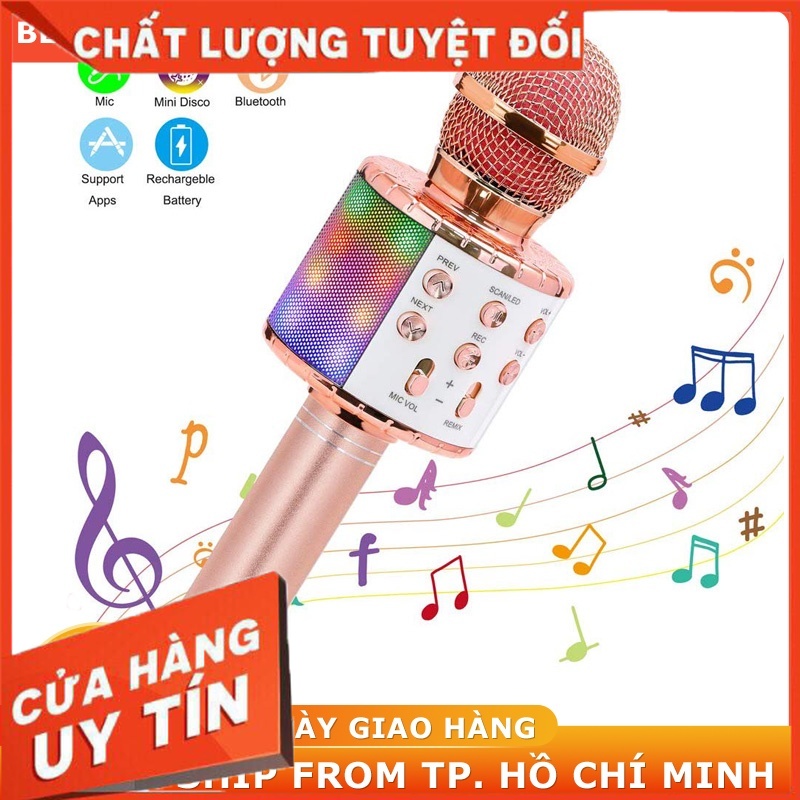 Mic Hát Karaoke Bluetooth Không Dây WS858 mic hát karaoke cầm tay mini - Chuyên Hàng Nội Địa China