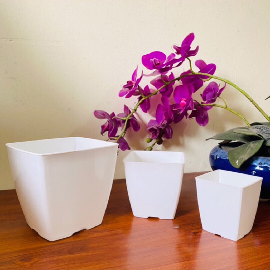 Chậu nhựa vuông trồng cây hoa cảnh