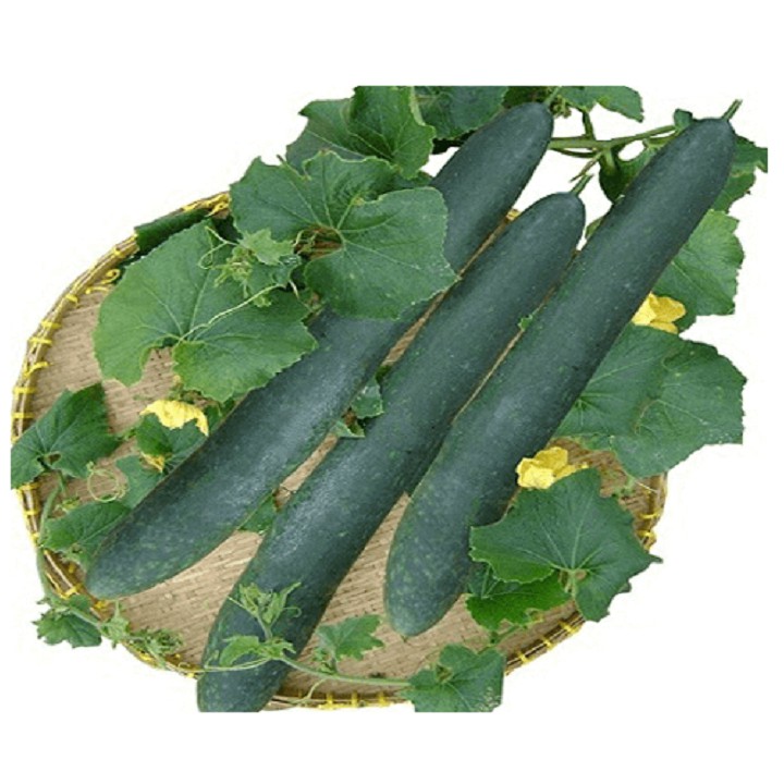 Hạt giống bí sặt cao sản gói 2 gram