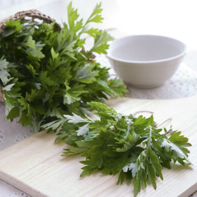 Hạt giống ngải cứu nhật bản 50h ngải cứu thảo dược cho gia đình bạn