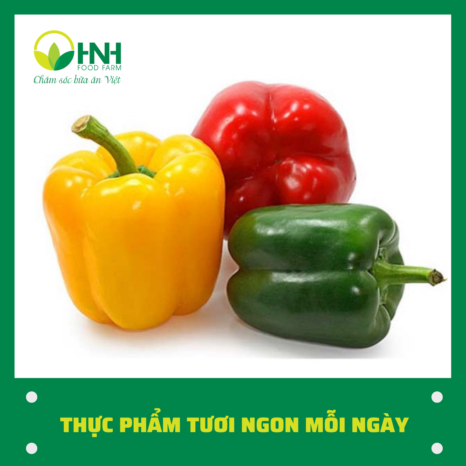 [CHỈ GIAO HÀ NỘI] Ớt chuông sạch ngon trợ giá mùa dịch - HNH Food Farm