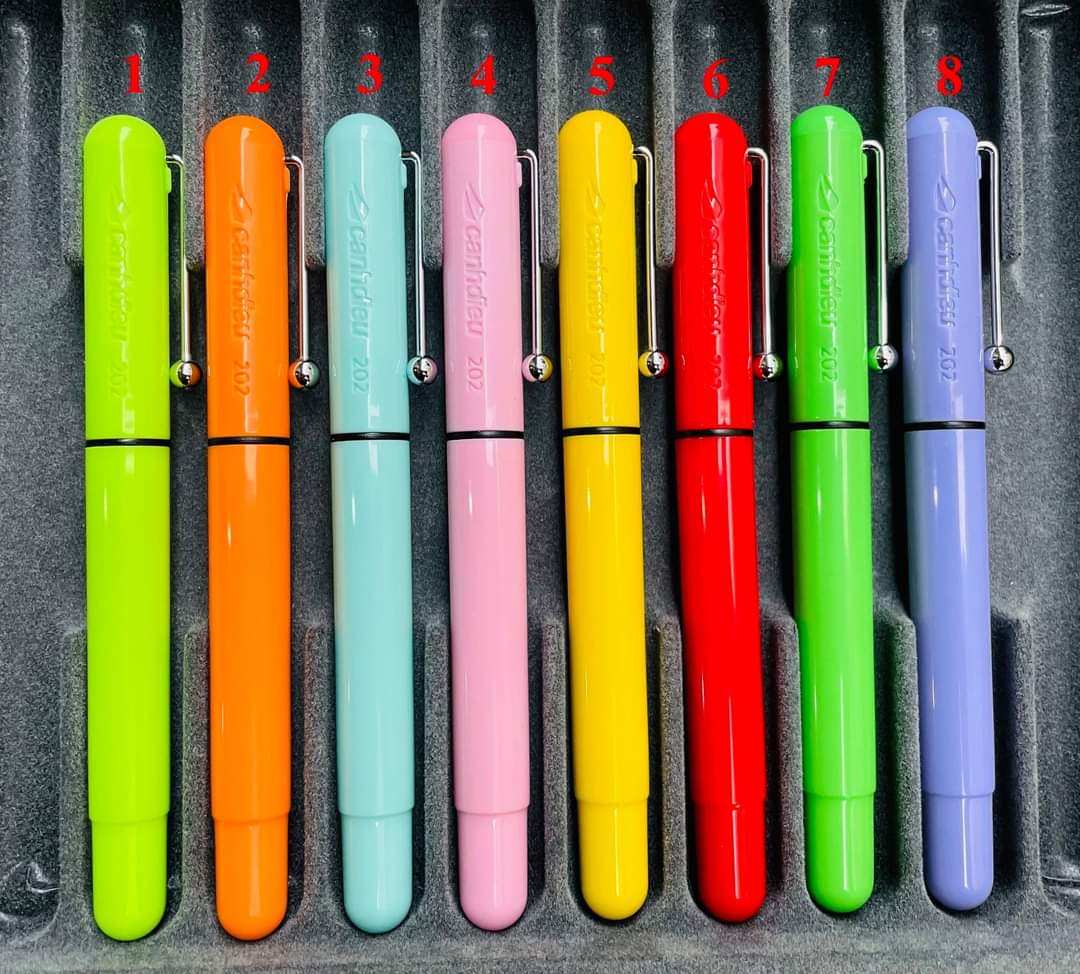 Bút Cánh Diều 202 - ngòi kim tinh, êm trơn