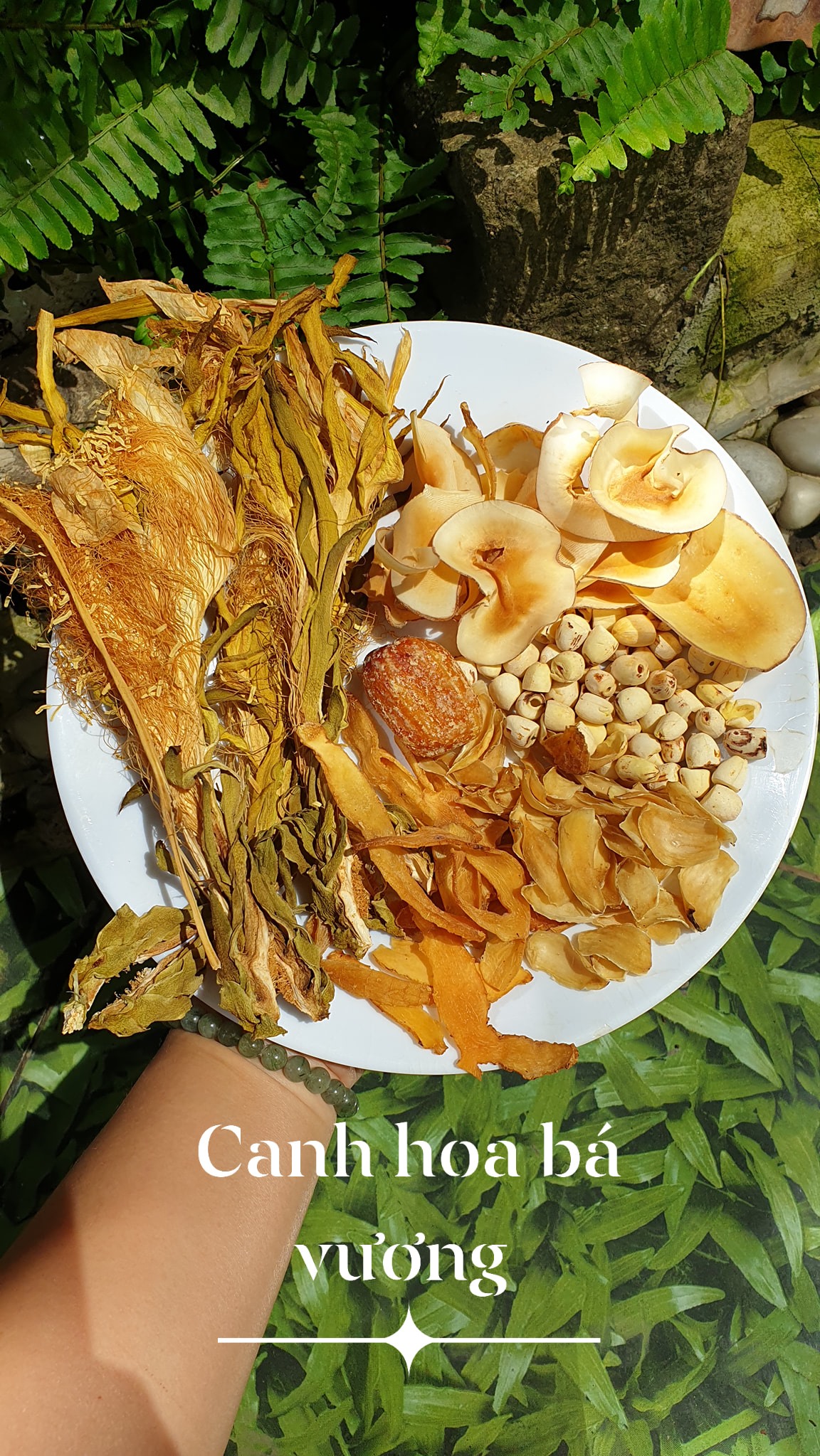 Set canh hoa bá vuong