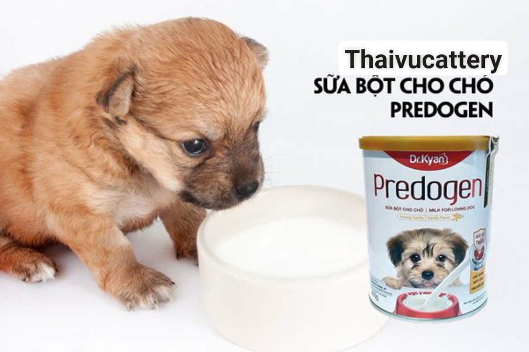 Dr.kyan predogen - sữa chó hộp giấy- 110g