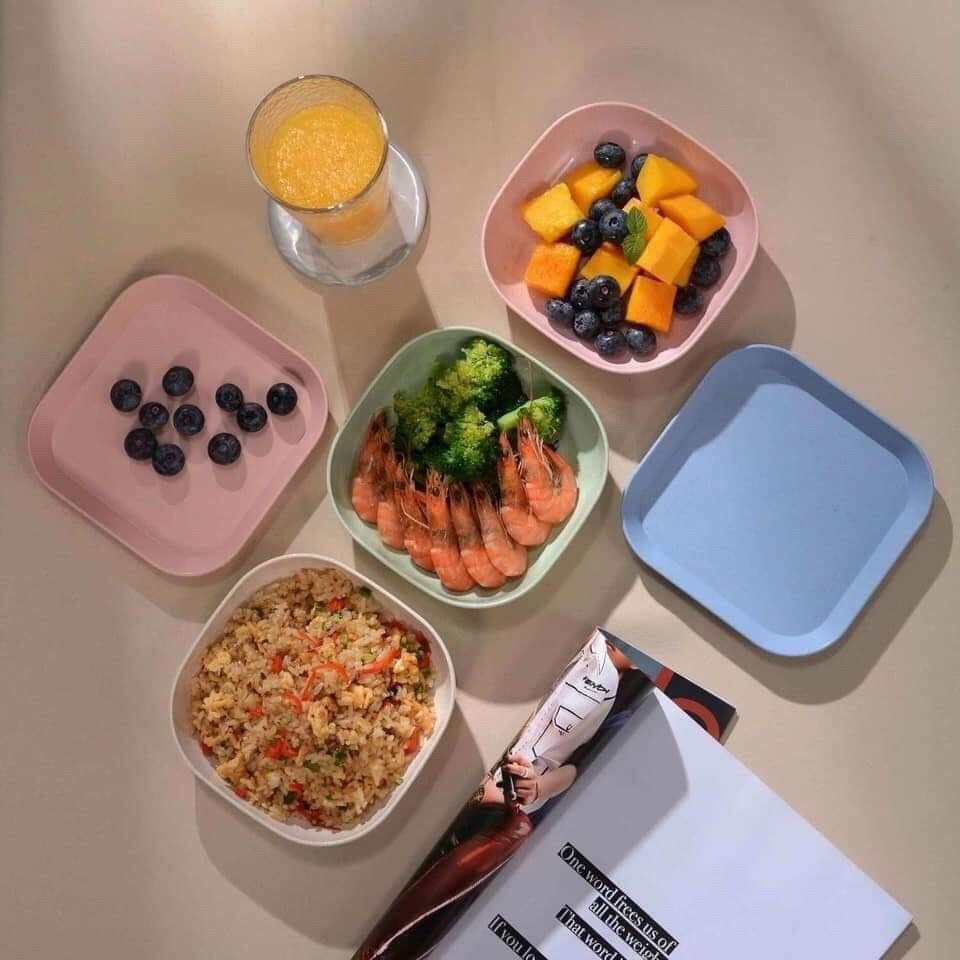 Set 8 đĩa lúa mạch chữ nhật màu pastel siêu xinh