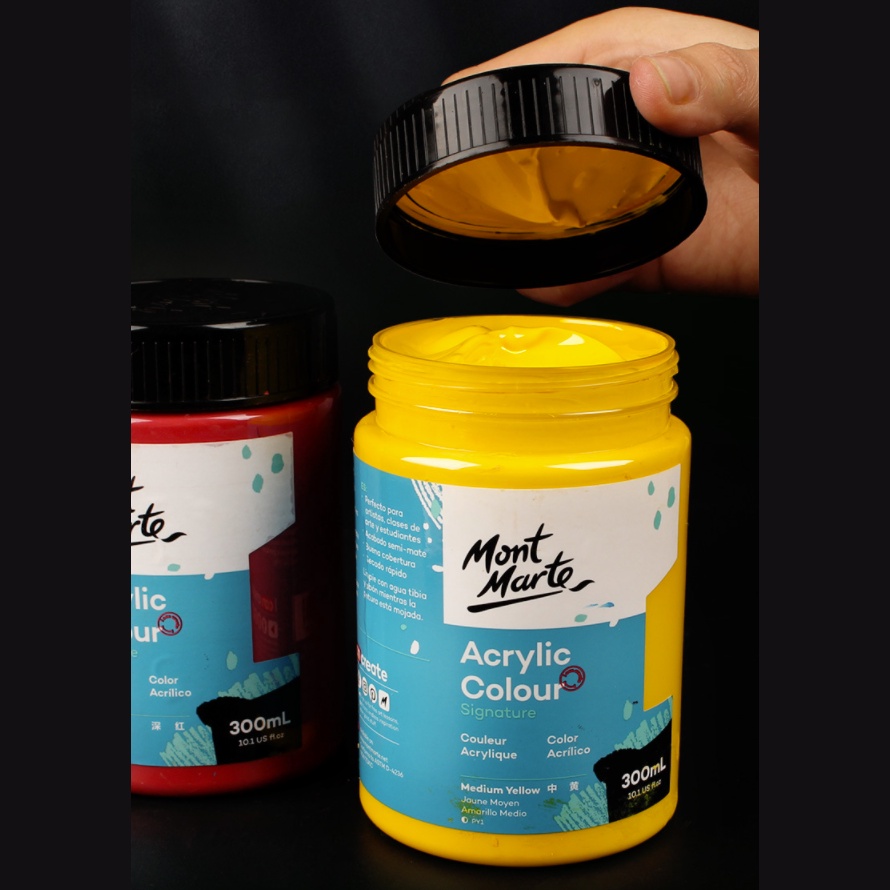 Acrylic 300ml mont marte - bảng màu 3