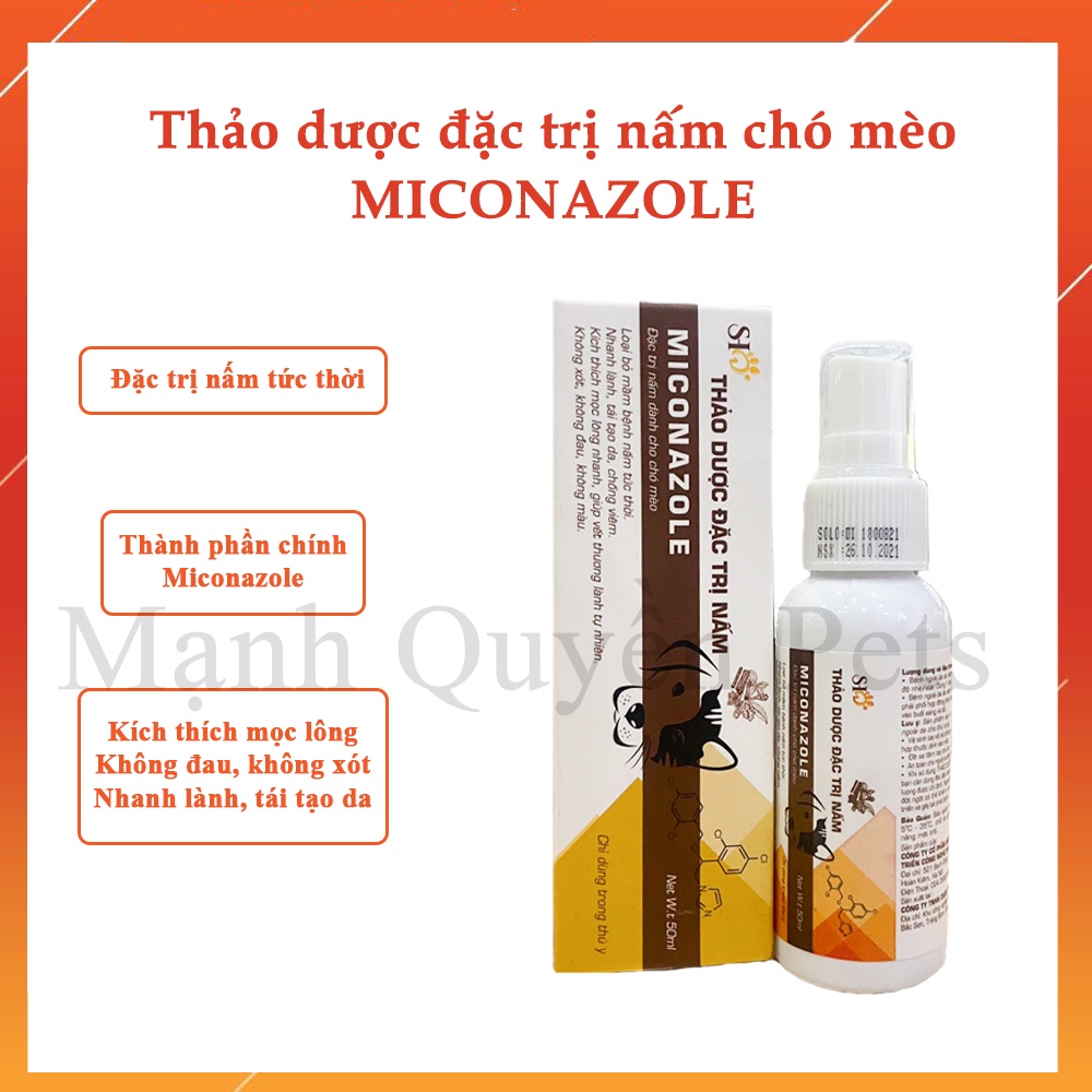 Thuốc xịt nấm cho mèo, xịt nấm thảo dược miconazole - 50ml