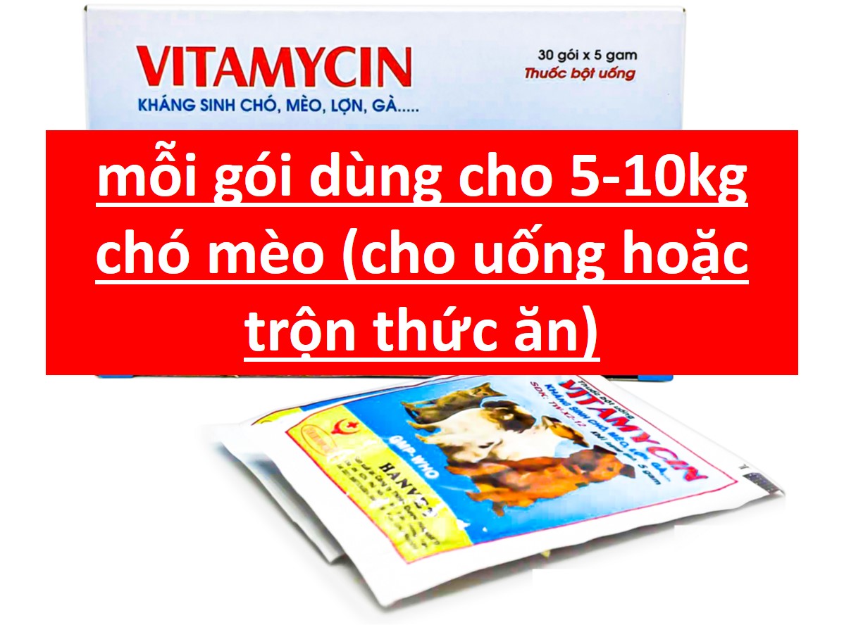 thuốc chó mèo- gói 5gr Kháng sinh chó mèo - đi ỉa kiết lị chó dạng uống