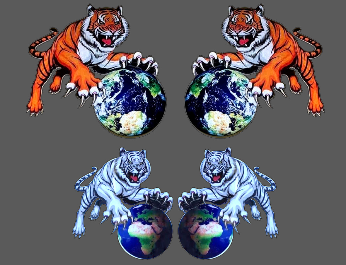 [FreeShip] Tem CẶP hổ bán theo cặp có 2 màu trắng và vàng dán đầu xe dán cửa xe mui lướt gió xe tải 2022