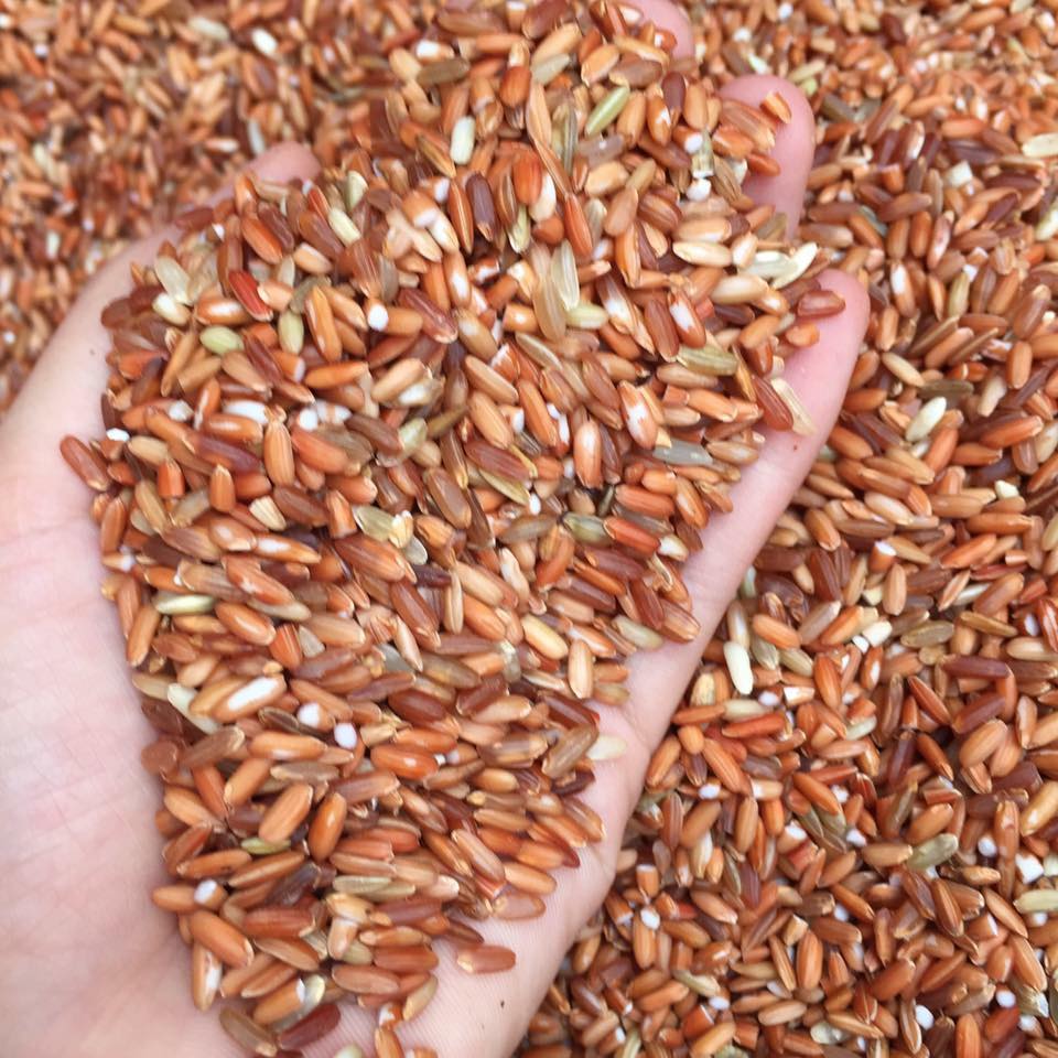 1kg gạo lứt cho gà