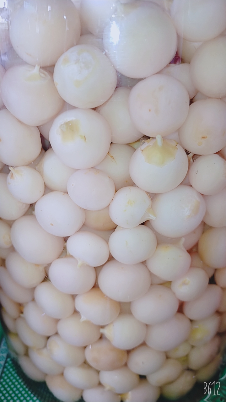 500gramdưa cà pháo đặc biệt