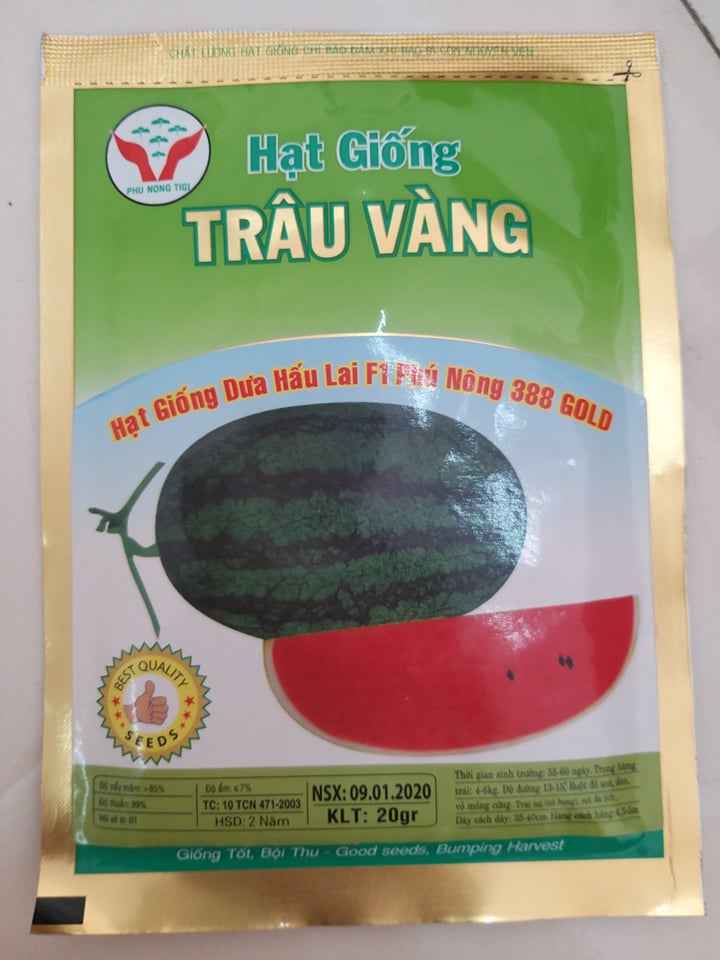 Hạt giống dưa hấu lai F1 Phú Nông 388 gold ( Hạt giống Trâu Vàng) gói 20g