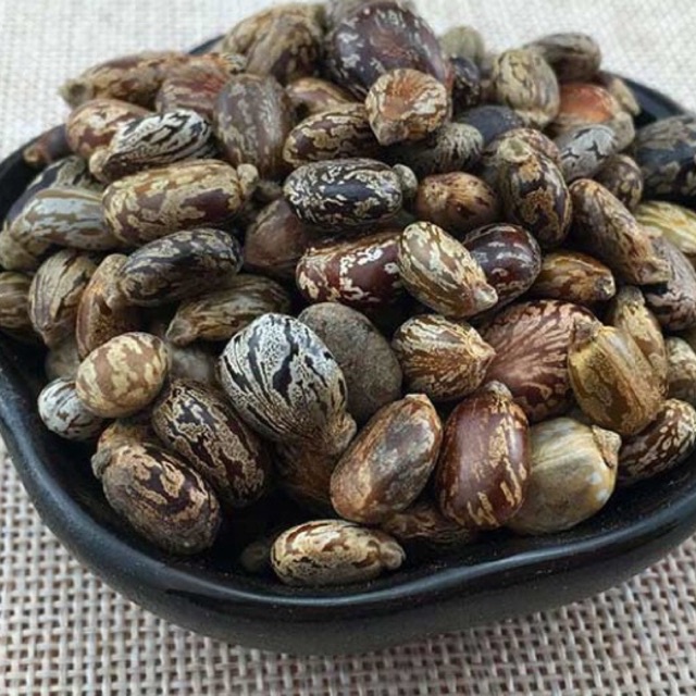 Hạt thầu dầu giúp mượt và kích thích mọc tóc 200g