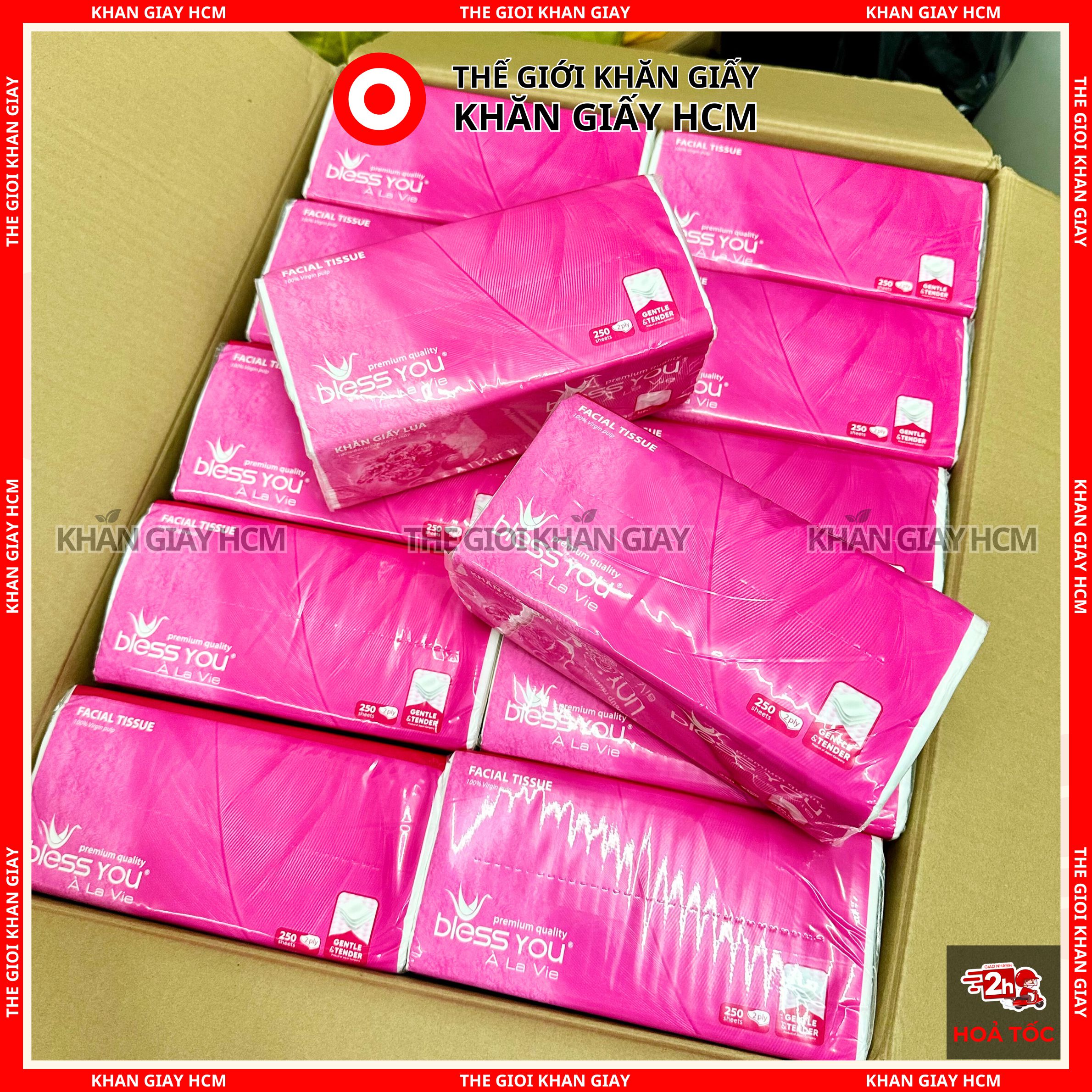 Combo 10 Gói - Khăn Giấy Lụa BLESS YOU 250 Tờ / 2 Lớp Mềm Mịn Cao Cấp