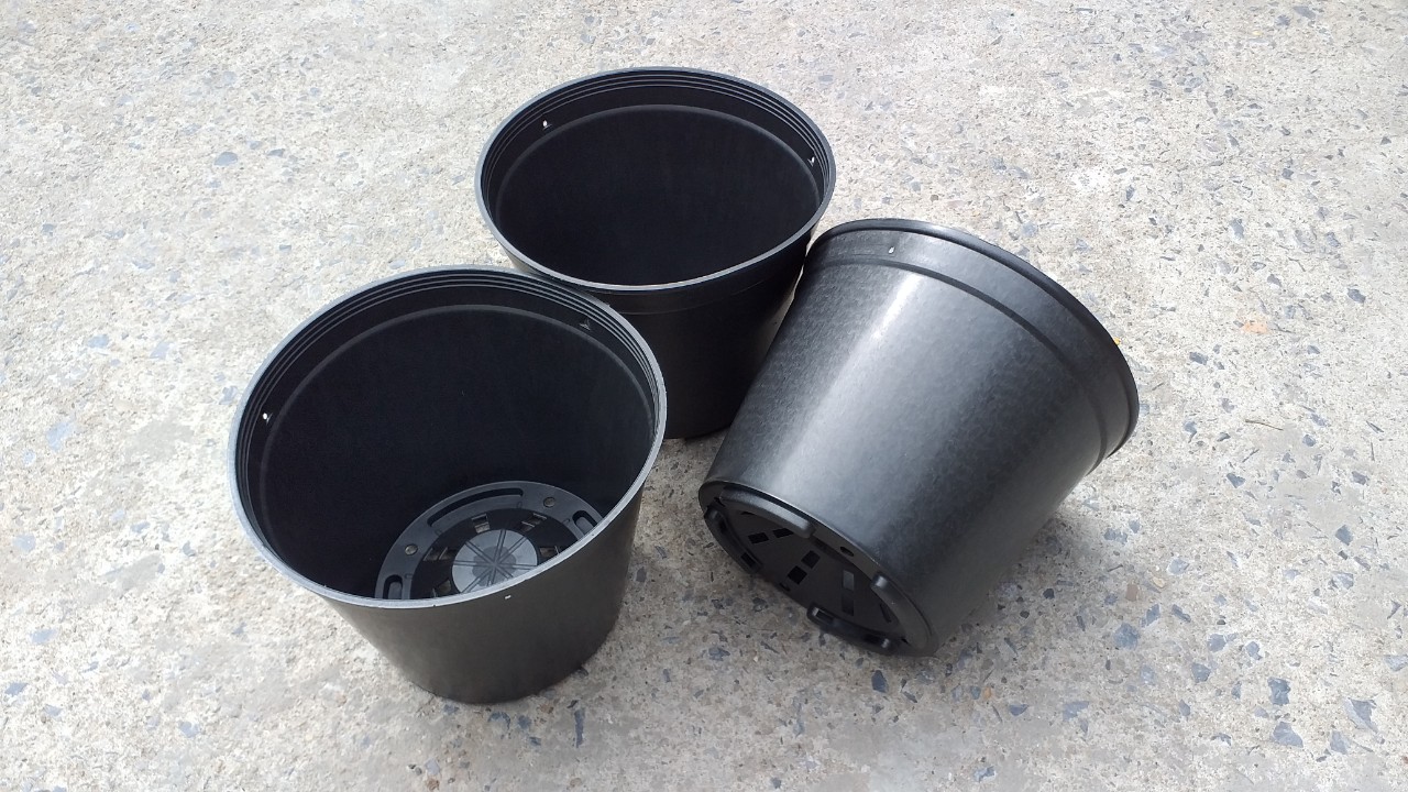 Combo 3 cái, 5 cái, 10 cái chậu nhựa trồng lan, chậu bít hông màu đen phi 10, 12, 14, 16, 18cm