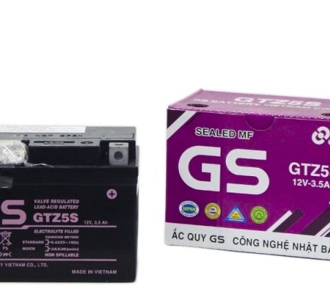 Bình ắc quy GS GTZ5S - BH 6 tháng (010016)