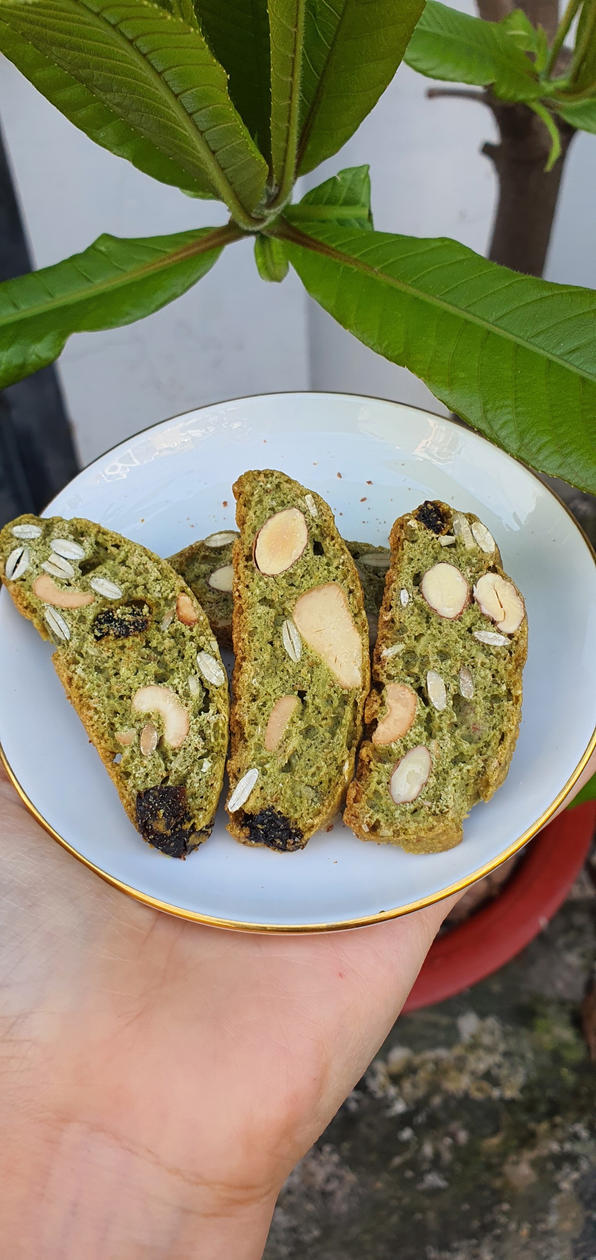 Biscotti nguyên cám siêu hạt vị trà xanh, bánh mì trà xanh nướng ăn kiêng, biscotti hạnh nhân trà xanh-không đường, heathy, ăn kiêng, giảm cân