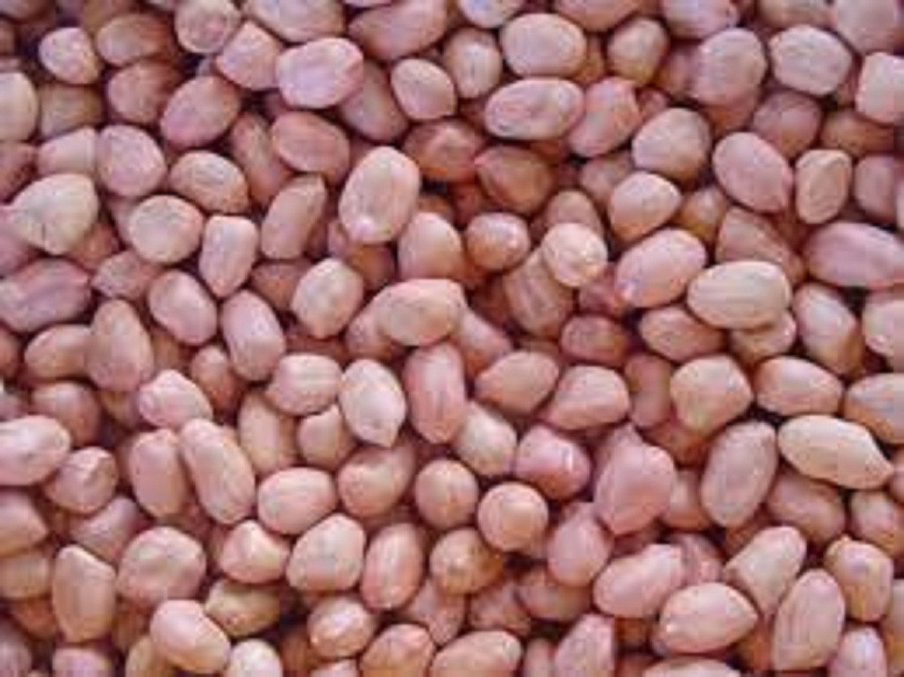 1 kg đậu phộng-Lạc Nhân Sống loại ngon