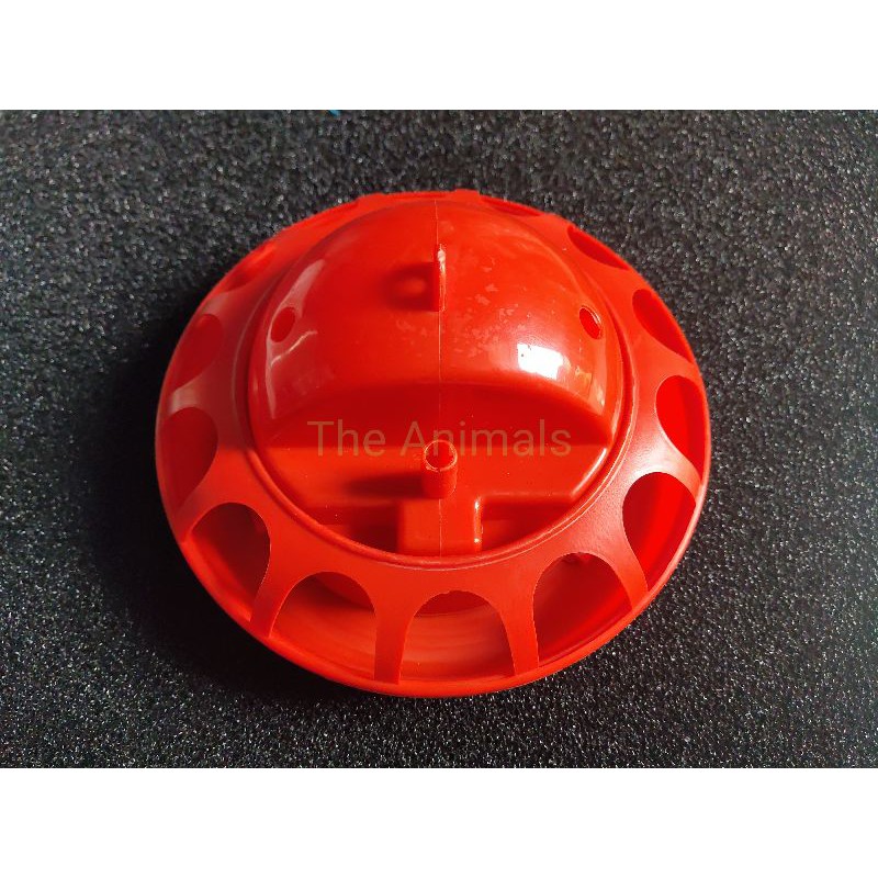 Máng uống nước tự động cho gà con, chim cút, vịt con