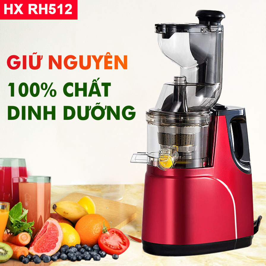 Máy Ép Chậm Hoa Quả Trái Cây RH512 HONG-XIN Máy Ép Trái Cây Giữ 98% Lượng Nước,Tặng Kèm 2 Cốc Đựng Và Đầu Chải Vệ Sinh Ép Rau Củ Hoa Quả, Máy Ép Chậm Trái Cây, Làm Kem Trái Cây Bảo Hành 12 Tháng