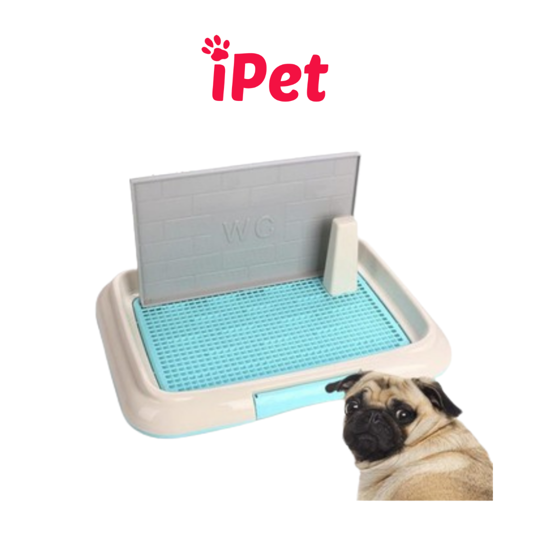 Khay vệ sinh cho thú cưng có tường chắn size lớn - ipet shop