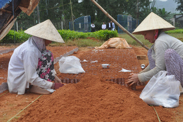Đất đỏ Bazan nguyên chất- trồng hồng,rau,cây ăn quả