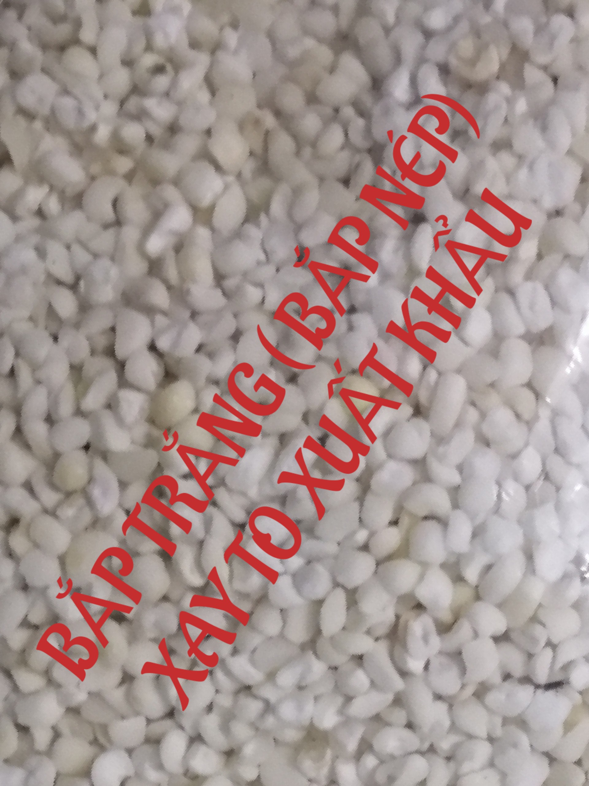 Bắp trắng 2kg xay , 2kghạt, 2kg xay to xk
